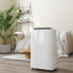 Indoor Air Quality Tips for Summer: How Your HVAC System Can Help You Breathe Easier